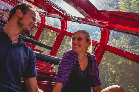 Blue Mountains Hop-on Hop-off Tour With Optional Scenic World Rides - Accommodation Daintree 5