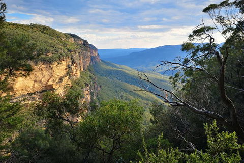 Blue Mountains Day Tour With Wildlife At Sunset From Sydney - Accommodation Daintree 5