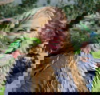 Great Ocean Road Reverse Itinerary with 12 Apostles from Melbourne - Accommodation Daintree