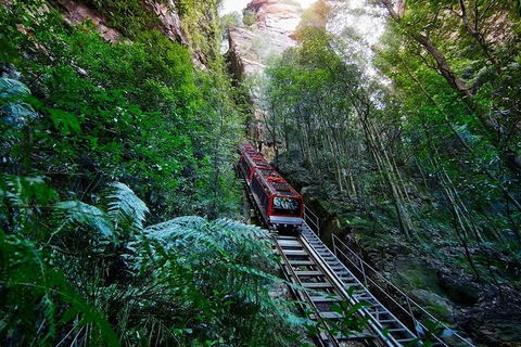 Blue Mountains Private Tour With Kangaroos & Koala Encounter - Accommodation Daintree 1