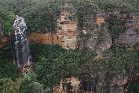 Blue Mountains Private Tour With Kangaroos & Koala Encounter - Accommodation Daintree 2