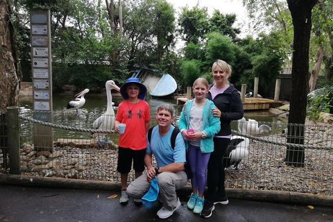 Blue Mountains Private Tour With Kangaroos & Koala Encounter - Accommodation Daintree 4