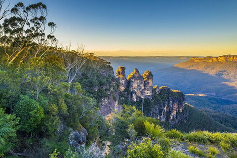 Blue Mountains Private Tour With Kangaroos & Koala Encounter - Accommodation Daintree 5