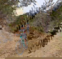 Mount Lofty Descent Bike Tour from Adelaide - Accommodation Daintree