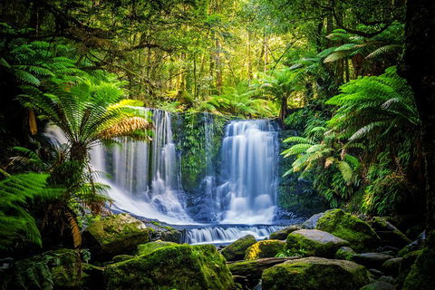 Day Tour In Mt. Field, Mt. Wellington, Bonorong Wildlife Sanctuary And Richmond - Accommodation Daintree 0