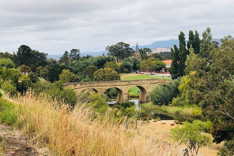 Day Tour In Mt. Field, Mt. Wellington, Bonorong Wildlife Sanctuary And Richmond - Accommodation Daintree 3