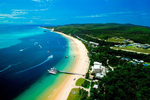 Tangalooma Island Resort Whale Watching Day Cruise - Accommodation Daintree 2