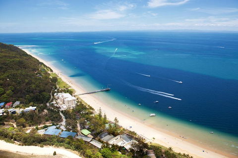 Tangalooma Island Resort Whale Watching Day Cruise With Dolphin Feeding - Accommodation Daintree 2