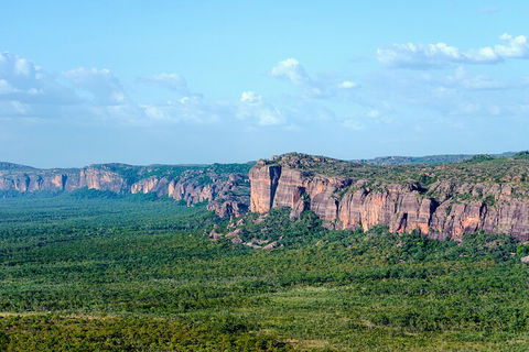 Jabiru 60 Minute Scenic Flight - Accommodation Daintree 4