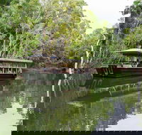 Hartley's Crocodile Adventures Breakfast with the Koalas - Accommodation Daintree