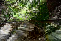 12 Apostles Eco-Friendly Great Ocean Road Iconic Adventure from Melbourne