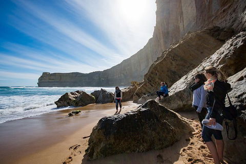 Small-Group Great Ocean Road And 12 Apostles Full-Day Tour From Melbourne - Accommodation Daintree 1
