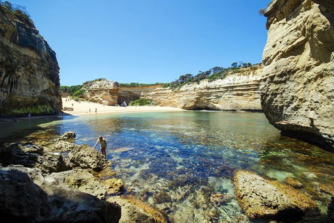Small-Group Great Ocean Road And 12 Apostles Full-Day Tour From Melbourne - Accommodation Daintree 5