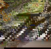 Adelaide Highlights Hahndorf  McLaren Vale Wine Tasting and Sightseeing Tour - Accommodation Daintree