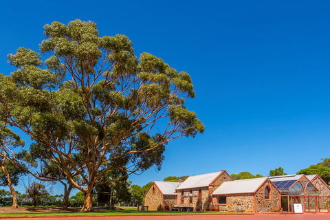 McLaren Vale And Glenelg Wine Tasting And Sightseeing (Half-day Afternoon) - Accommodation Daintree 5