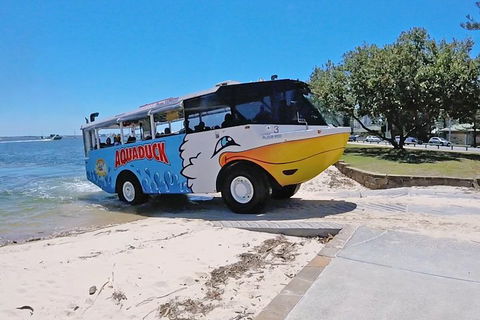 Paradise Jet Boating And Aquaduck Combo - Accommodation Daintree 2
