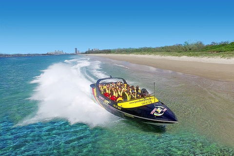 Jet Boat Express Ride - 30mins - Accommodation Daintree 1