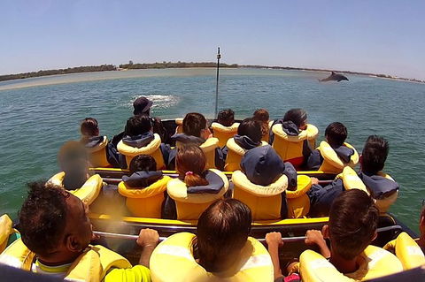 Jet Boat Express Ride - 30mins - Accommodation Daintree 5