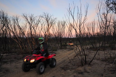 Kangaroo Island Quad Bike (ATV) Tours - Accommodation Daintree 1