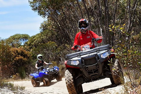 Kangaroo Island Quad Bike (ATV) Tours - Accommodation Daintree 5