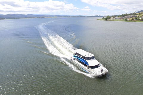 2.50 Hour Afternoon Discovery Cruise Including Cataract Gorge Departing At 3 Pm - Accommodation Daintree 0