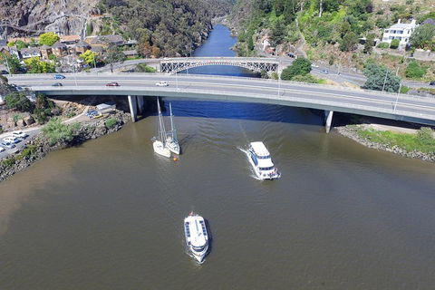 2.50 Hour Afternoon Discovery Cruise Including Cataract Gorge Departing At 3 Pm - Accommodation Daintree 1