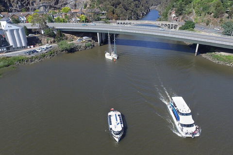 2.50 Hour Afternoon Discovery Cruise Including Cataract Gorge Departing At 3 Pm - Accommodation Daintree 3