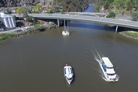2.50 Hour Afternoon Discovery Cruise Including Cataract Gorge Departing At 3 Pm - Accommodation Daintree 5