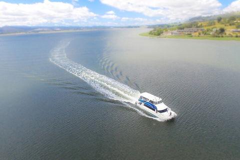2.5 Hour Afternoon Discovery Cruise Including Cataract Gorge Departs At 1: 30 Pm - Accommodation Daintree 0