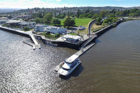 2.5 Hour Afternoon Discovery Cruise Including Cataract Gorge Departs At 1: 30 Pm - Accommodation Daintree 3