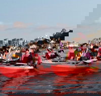 Brisbane River Guided Evening Tour by Kayak - Our Most Popular Tour