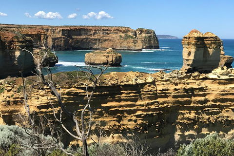 Great Ocean Road Reverse Itinerary Tour - Accommodation Daintree 1