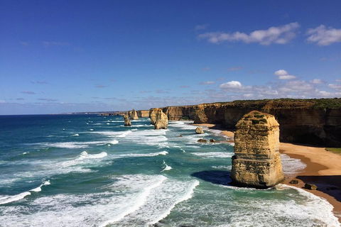 Great Ocean Road Reverse Itinerary Tour - Accommodation Daintree 4