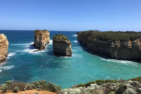 Great Ocean Road Reverse Itinerary PREMIUM Tour - Accommodation Daintree 0