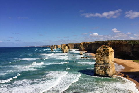Great Ocean Road Reverse Itinerary PREMIUM Tour - Accommodation Daintree 2