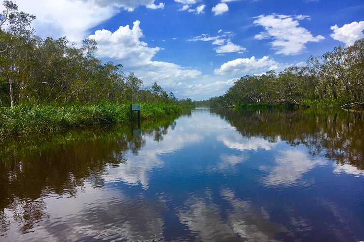  Accommodation Daintree