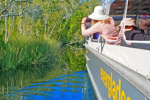 Noosa Everglades Serenity Cruise & Highlights Tour Inc. Lunch & Cruise - Accommodation Daintree 2