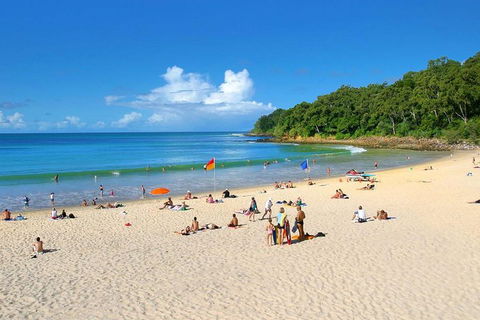 Noosa Everglades Serenity Cruise & Highlights Tour Inc. Lunch & Cruise - Accommodation Daintree 4