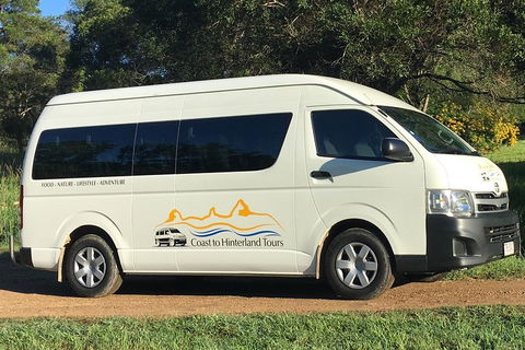 Noosa Everglades Serenity Cruise & Highlights Tour Inc. Lunch & Cruise - Accommodation Daintree 5