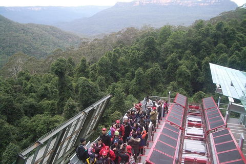Blue Mountains Private Tour With Wildlife Park And River Cruise - Accommodation Daintree 1