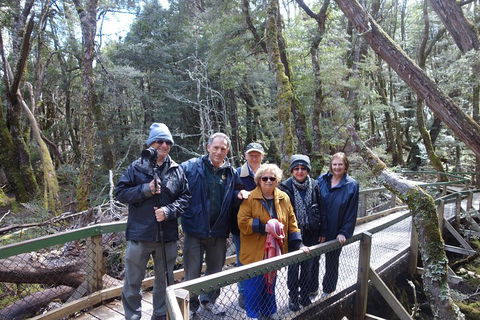 Blue Mountains Private Tour With Wildlife Park And River Cruise - Accommodation Daintree 2