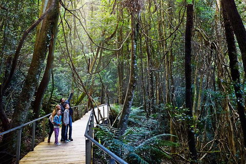 Blue Mountains Private Tour With Wildlife Park And River Cruise - Accommodation Daintree 4