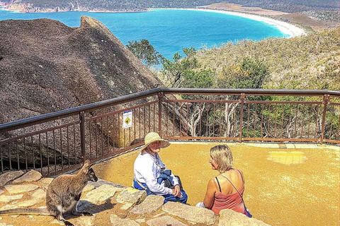 Wineglass Bay & Freycinet NP Full Day Tour From Hobart Via Richmond Village - Accommodation Daintree 1