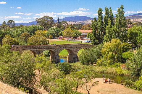 Wineglass Bay & Freycinet NP Full Day Tour From Hobart Via Richmond Village - Accommodation Daintree 4
