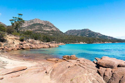 Wineglass Bay & Freycinet NP Full Day Tour From Hobart Via Richmond Village - Accommodation Daintree 5