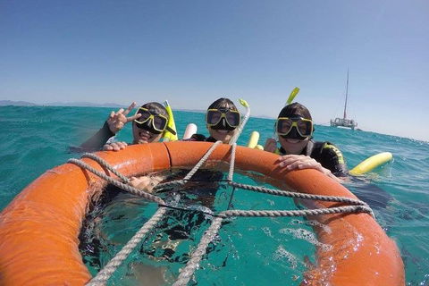 Full-Day Great Barrier Reef Sailing Trip - Accommodation Daintree 0