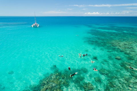 Full-Day Great Barrier Reef Sailing Trip - Accommodation Daintree 2
