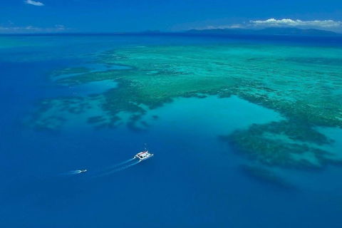 Full-Day Great Barrier Reef Sailing Trip - Accommodation Daintree 3