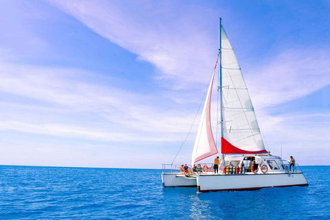 Full-Day Great Barrier Reef Sailing Trip - Accommodation Daintree 4