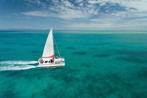 Full-Day Great Barrier Reef Sailing Trip - Accommodation Daintree 5